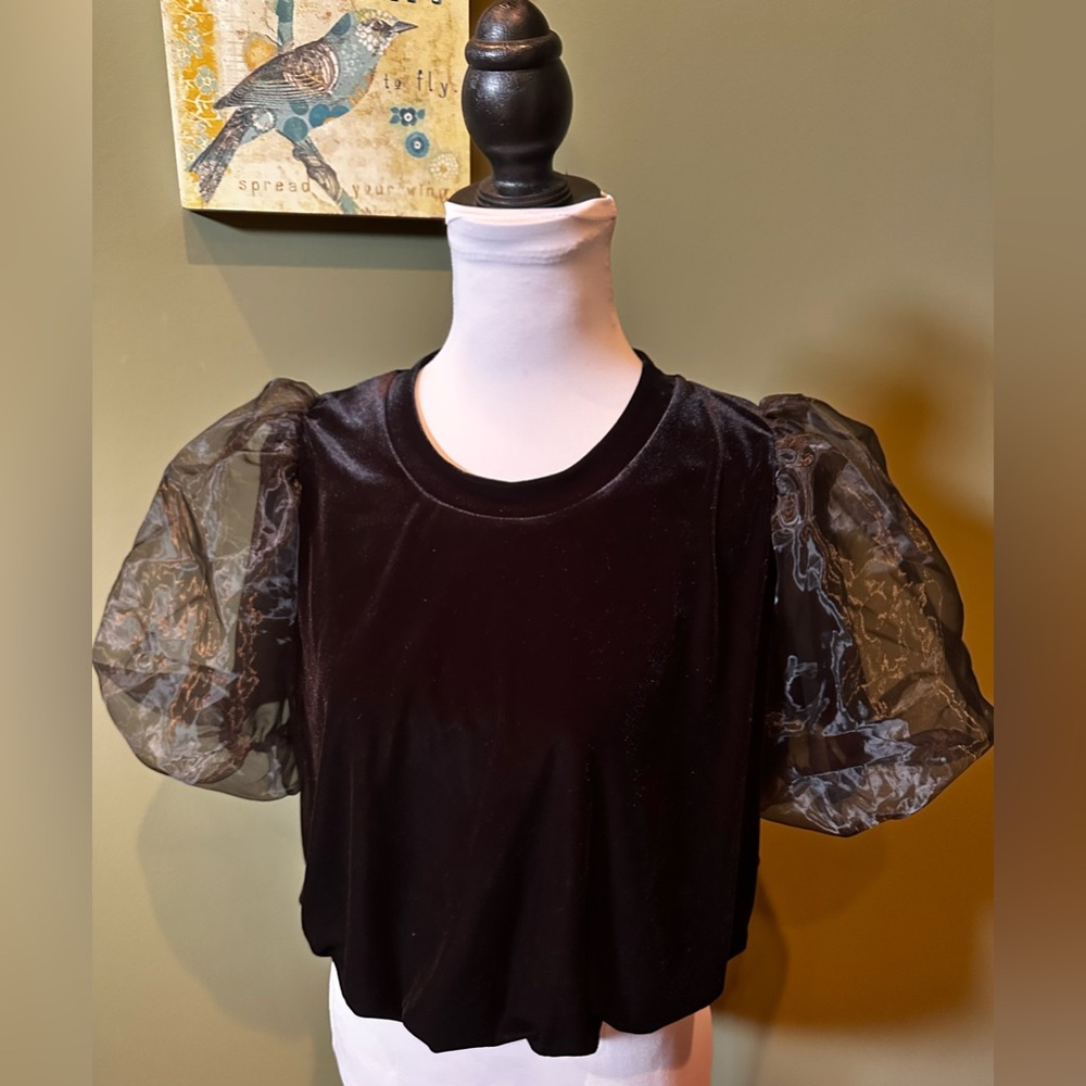 Anthropologie Maeve Puff Sleeve Velvet Blouse